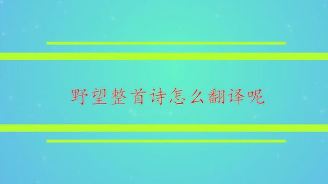 野望整首诗怎么翻译呢