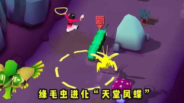 疯狂动物园 我驯服了绿毛虫,它在奔跑中进化成“天堂凤蝶”