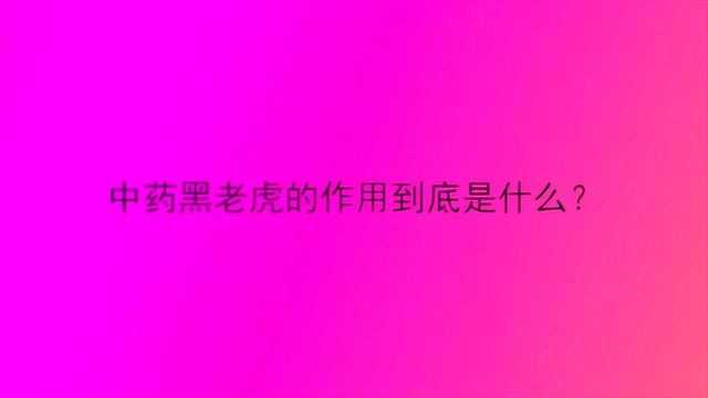 中药黑老虎的作用到底是什么?