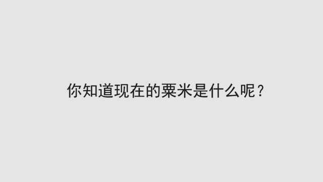 你知道现在的粟米是什么呢?