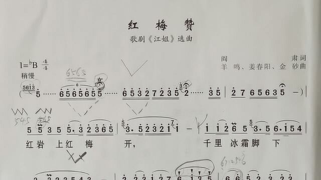 《红梅赞》简谱旋律视唱,教给你怎样唱歌曲旋律,了解乐理知识