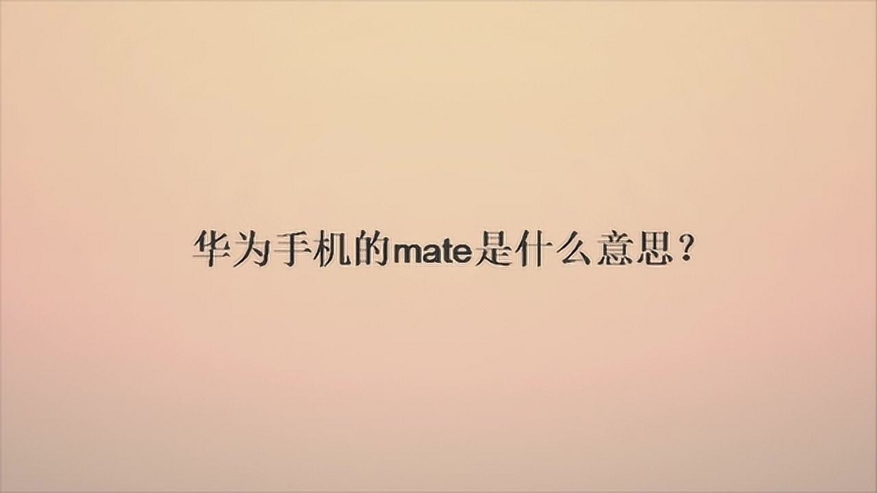 华为手机的mate是什么意思