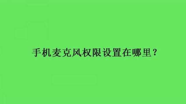 手机麦克风权限设置在哪里?