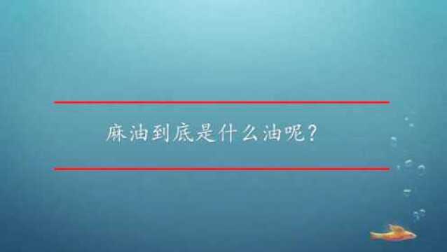 麻油到底是什么油呢?