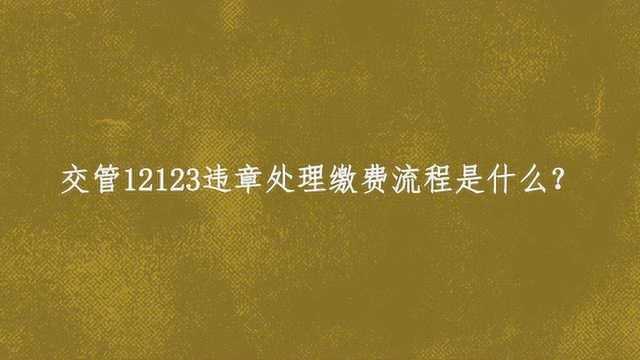 交管12123违章处理缴费流程是什么?