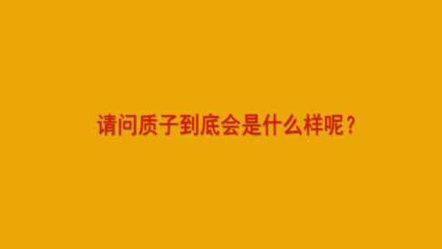 请问质子到底会是什么样呢?