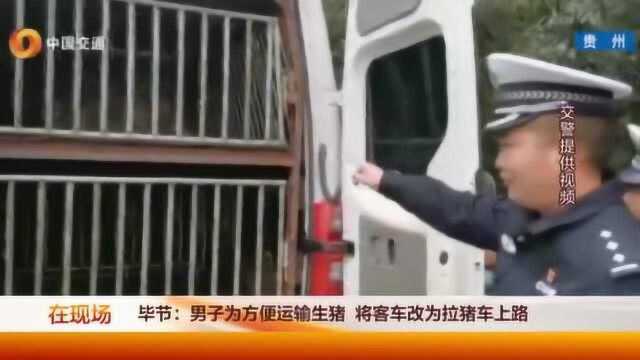 男子为图方便运输生猪,将客车改为拉猪车上路