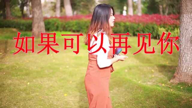 经典音乐,一首《如果可以再见你》独特嗓音,歌词深入人心