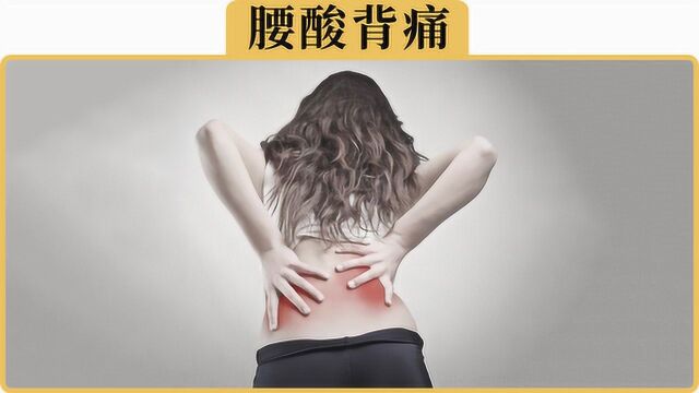 备胎说车:为什么再好的座椅,开久了一样腰疼