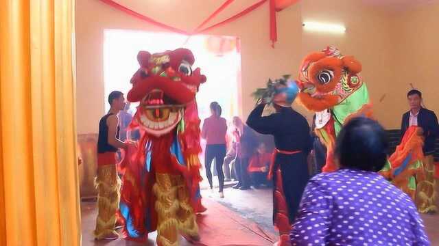 广西横县石塘镇大料村,热闹的一天