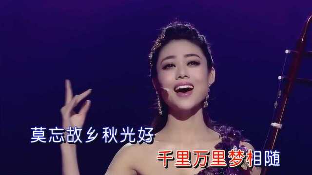 青年歌手王妮娜一曲《芦花》,古典与时尚碰撞,尽显柔美风韵!