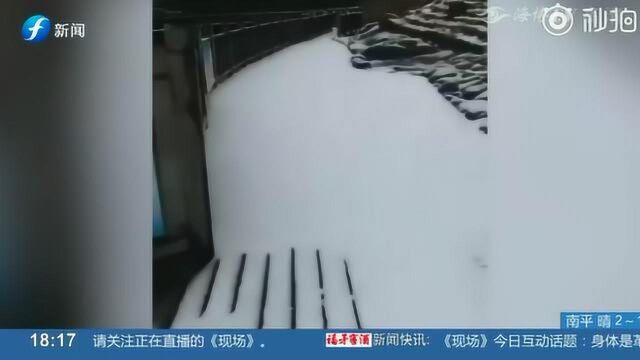 福建东狮山初雪降临 福建人看到雪兴奋到破音!