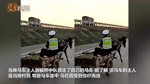 云南交警赶马车上路姿势娴熟:马车主人不见了 临时充当车夫