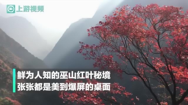 巫山红叶秘境 张张都是美到爆屏的桌面