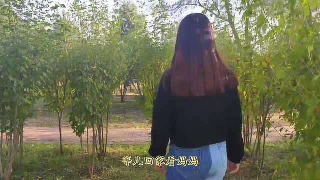 一首苦情歌曲《北郊》歌声句句入心,唱的好听