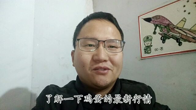 河南南阳鸡蛋又降价了,来看看最新价格多少钱一箱