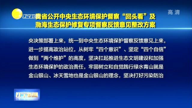 辽宁省公开中央生态环境保护督察“回头看”方案