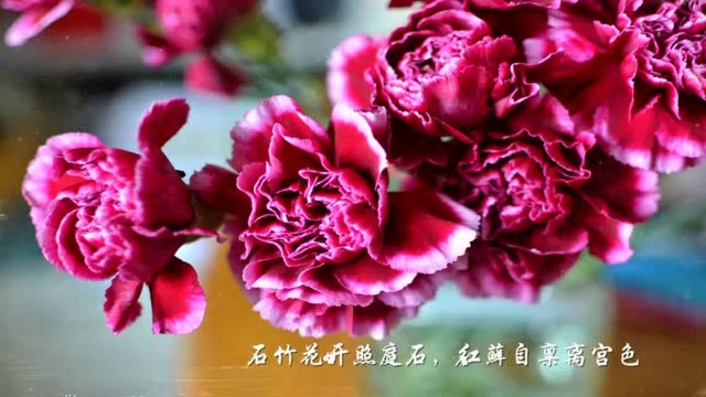 园林花卉文化与鉴赏课程简介