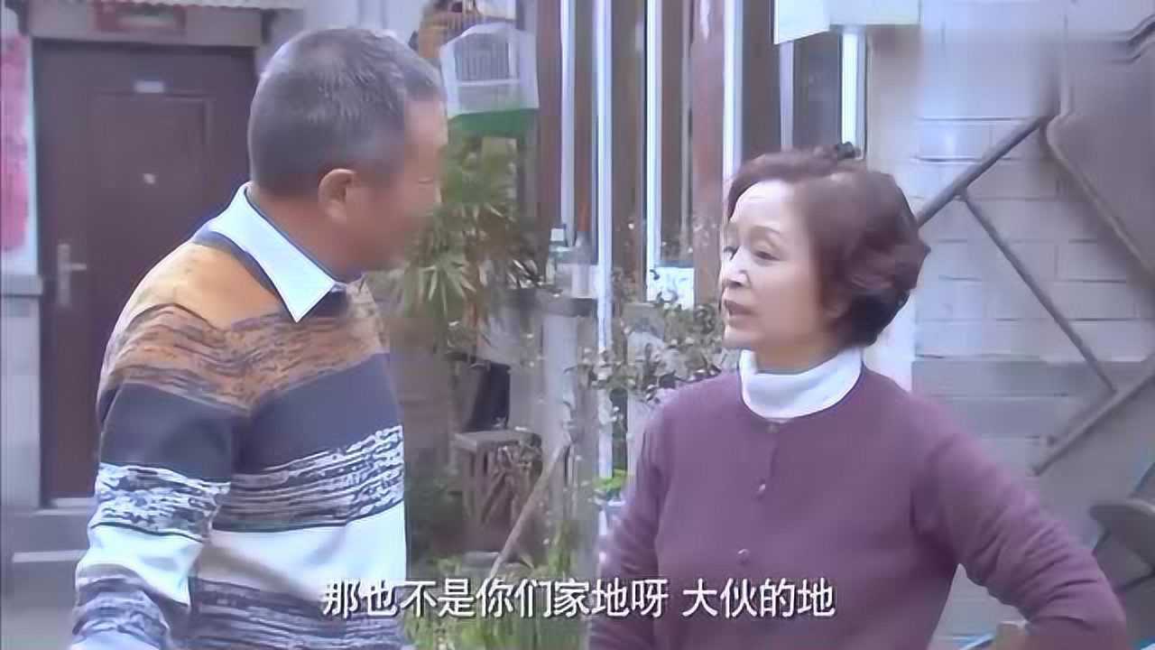 邻居也疯狂李大龙碰倒煤球与老邻居吵得不可开交口才太溜了
