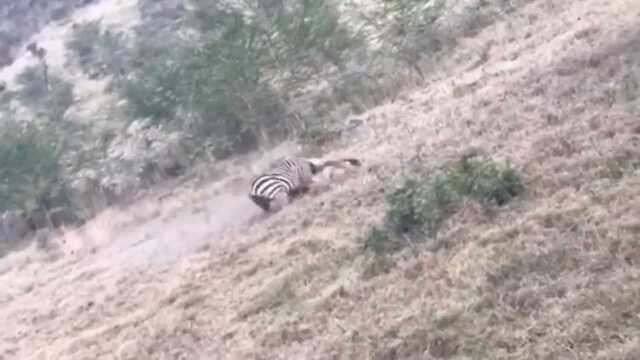 鼓起勇气勇敢面对生活