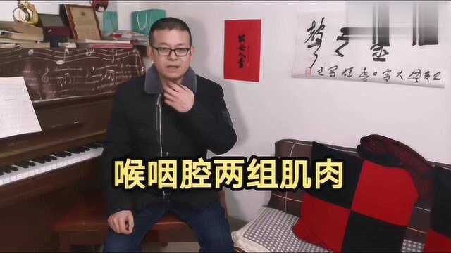 喉咽腔有两组肌肉,一组是作用于发声的,听孟老师开讲