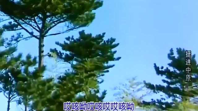 1979年电影《挺进中原》,修复高清版,原声歌曲,全是经典回忆