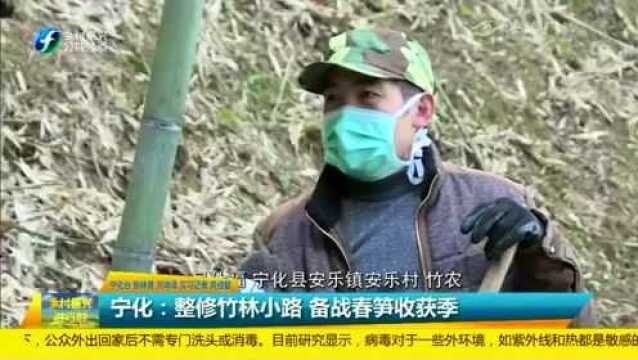 宁化:村民整修竹林小路 备战春笋收获季节