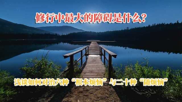 修行中最大的障碍是什么?浅谈如何对治六种“根本烦恼”与二十种“随烦恼”