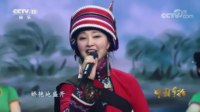 曲比阿乌演唱《索玛花开》,宛转悠扬,醉人心扉