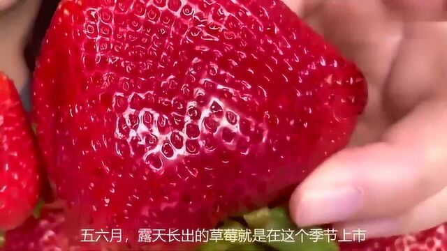 它被称为“水果皇后”,钙含量比苹果高4倍,孩子常吃益智补脑