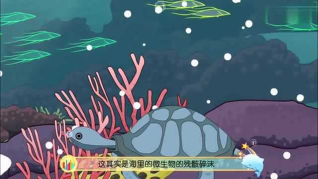 十万个为什么海洋版:海底飘雪花究竟是怎么回事?值不得去看看呢?