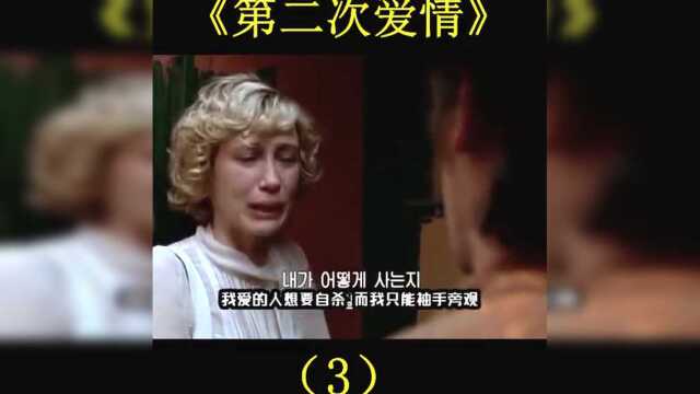 《第二次爱情》(3)