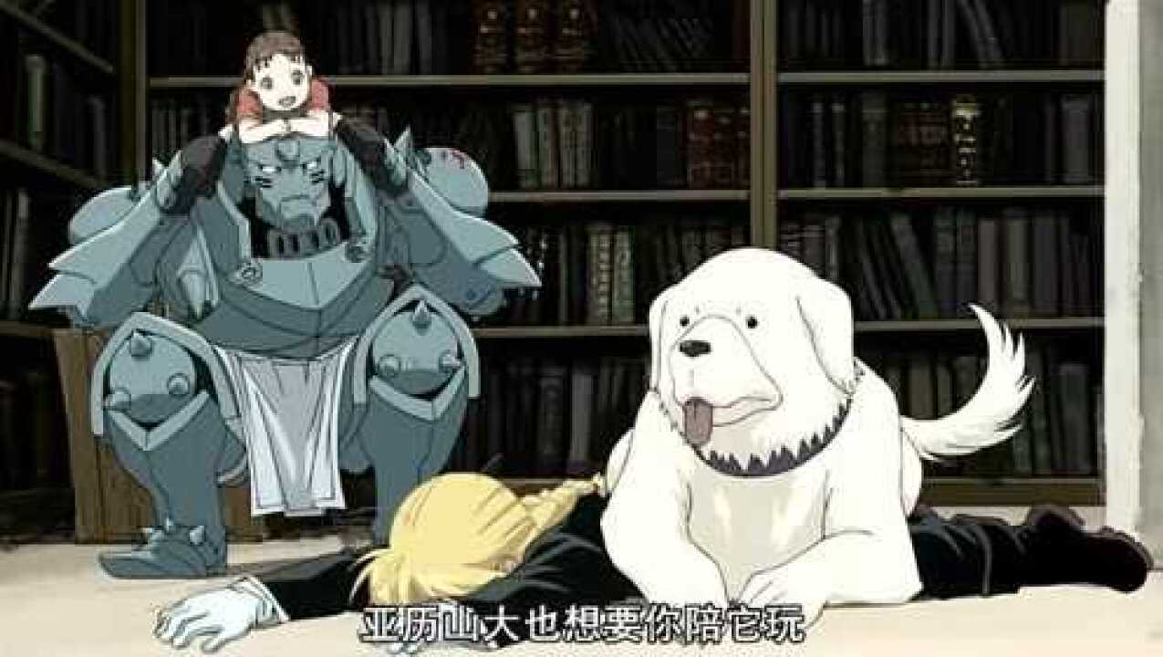 钢之炼金术师fa艾尔克利兄弟陪小女孩和狗狗玩