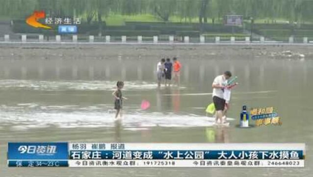 看着都危险!石家庄汊河现热闹摸鱼场面,大人孩子齐下水