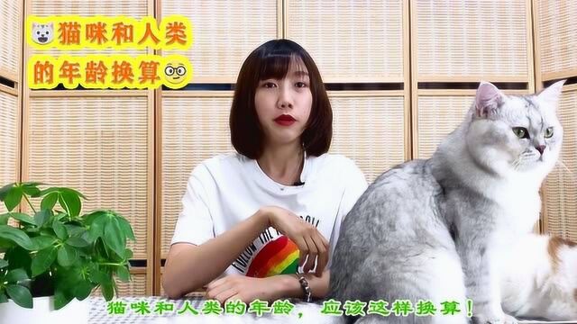 最全猫咪年龄换算表,新手猫奴要收藏!看完就知道喵主子多大了