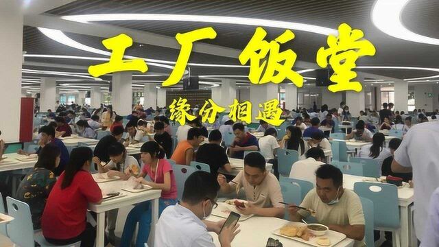 深圳电子厂,小伙在饭堂遇到了爱情