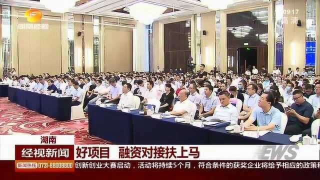 你有项目,咱有钱!湖南制造强省融资会 融资对接“扶上马”