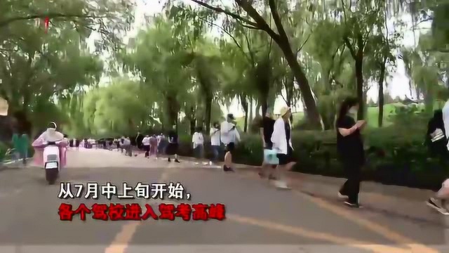 泉视界 | 暑假驾考高峰来了,济南有学员提前4小时排队查体