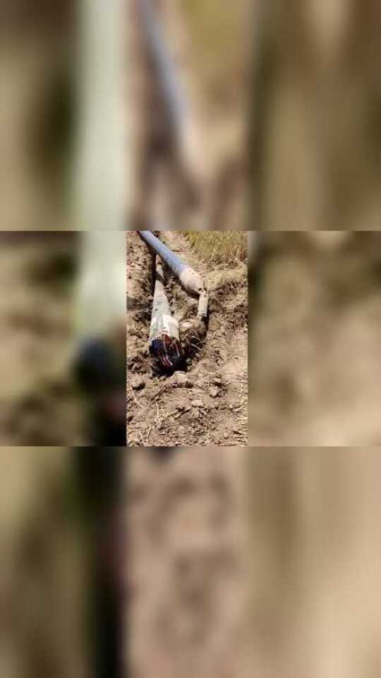 Thumbplayer Poster Plugin Image