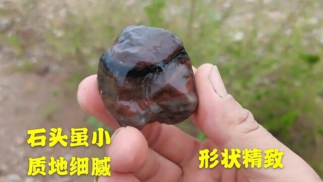 山城户外捡石,刚到场地遇见块金丝线观赏石,那块小黑玛瑙不错