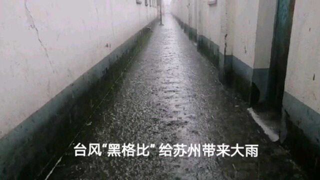 台风黑格比,让苏州短时暴雨如注