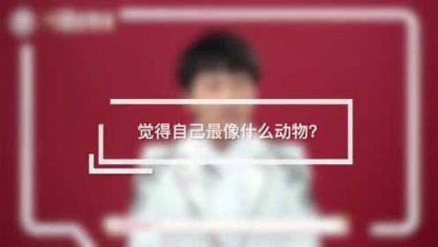 《深言浅语》周深:我现在就像一个八哥,不停地在说话!