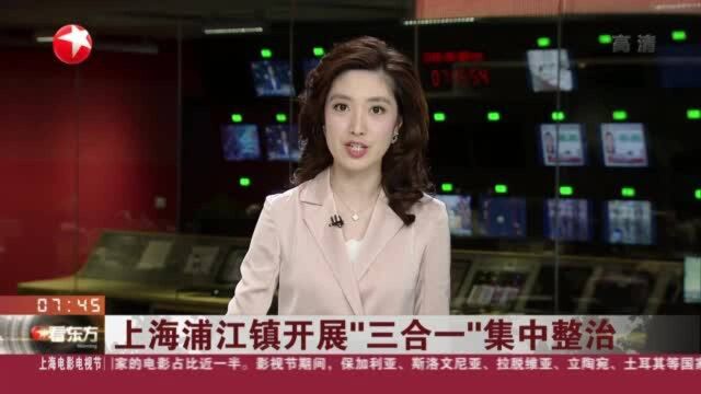 上海浦江镇开展“三合一”集中整治