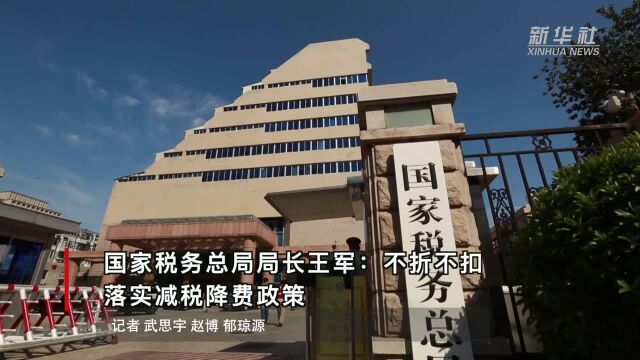 国家税务总局局长王军:不折不扣落实减税降费政策