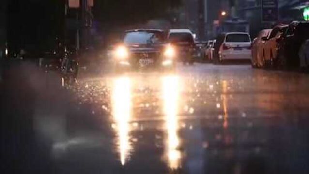 暖视频|北京的雨夜静得只有雨声,奔忙的你带伞了吗?快点回家