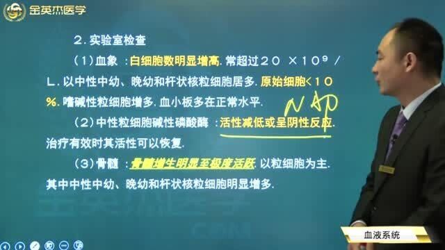 血液系统疾病:慢性粒细胞白血病的临床表现都在这里了,如何检查和诊断?