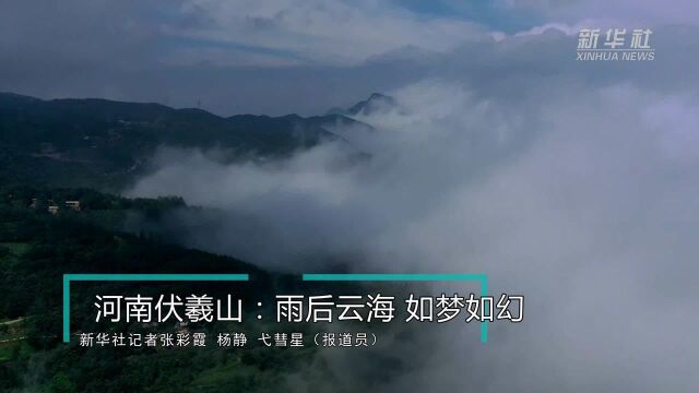 河南伏羲山:雨后云海 如梦如幻