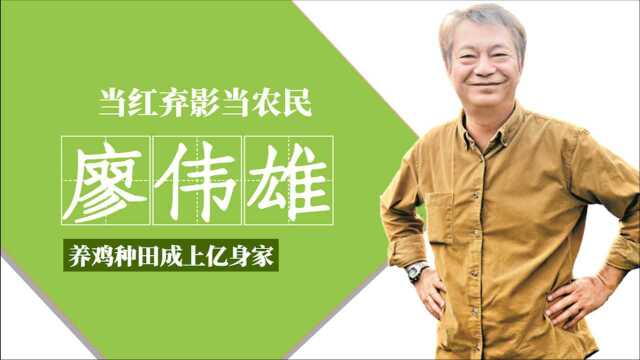 ”阿灿“廖伟雄当红弃影做农民,回家养鸡种田,如今身价过亿