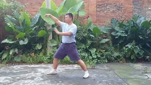 太极老师现场演练法华经太极拳武术健身操教学!