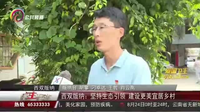 西双版纳:坚持生态引领,建设更美宜居乡村